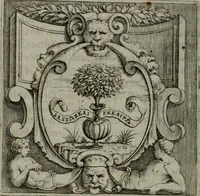An illustration from Imprese illustri di diuersi : co i discorsi (1586)