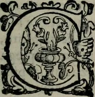 An illustration from Imprese illustri di diuersi : co i discorsi (1586)
