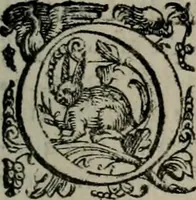 An illustration from Imprese illustri di diuersi : co i discorsi (1586)
