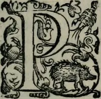 An illustration from Imprese illustri di diuersi : co i discorsi (1586)