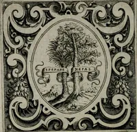 An illustration from Imprese illustri di diuersi : co i discorsi (1586)