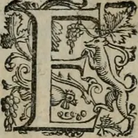 An illustration from Imprese illustri di diuersi : co i discorsi (1586)
