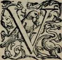 An illustration from Imprese illustri di diuersi : co i discorsi (1586)