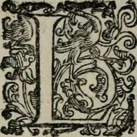 An illustration from Imprese illustri di diuersi : co i discorsi (1586)