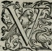 An illustration from Imprese illustri di diuersi : co i discorsi (1586)
