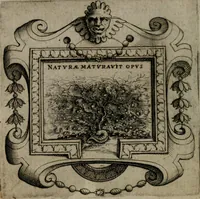An illustration from Imprese illustri di diuersi : co i discorsi (1586)