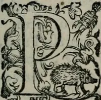 An illustration from Imprese illustri di diuersi : co i discorsi (1586)