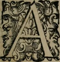 An illustration from Imprese illustri di diuersi : co i discorsi (1586)