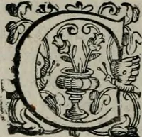 An illustration from Imprese illustri di diuersi : co i discorsi (1586)