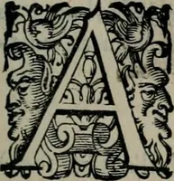 An illustration from Imprese illustri di diuersi : co i discorsi (1586)