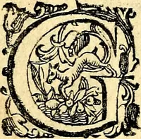 An illustration from Imprese illustri di diuersi, coi discorsi di Camillo Camilli, et con le figure intagliate in rame di Girolamo Porro Padouano .. (1586)