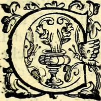 An illustration from Imprese illustri di diuersi, coi discorsi di Camillo Camilli, et con le figure intagliate in rame di Girolamo Porro Padouano .. (1586)
