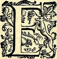 An illustration from Imprese illustri di diuersi, coi discorsi di Camillo Camilli, et con le figure intagliate in rame di Girolamo Porro Padouano .. (1586)