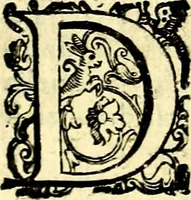 An illustration from Imprese illustri di diuersi, coi discorsi di Camillo Camilli, et con le figure intagliate in rame di Girolamo Porro Padouano .. (1586)