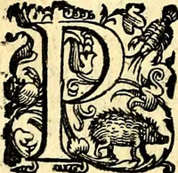 An illustration from Imprese illustri di diuersi, coi discorsi di Camillo Camilli, et con le figure intagliate in rame di Girolamo Porro Padouano .. (1586)