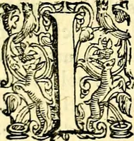 An illustration from Imprese illustri di diuersi, coi discorsi di Camillo Camilli, et con le figure intagliate in rame di Girolamo Porro Padouano .. (1586)