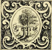 An illustration from Imprese illustri di diuersi, coi discorsi di Camillo Camilli, et con le figure intagliate in rame di Girolamo Porro Padouano .. (1586)