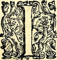 An illustration from Imprese illustri di diuersi, coi discorsi di Camillo Camilli, et con le figure intagliate in rame di Girolamo Porro Padouano .. (1586)