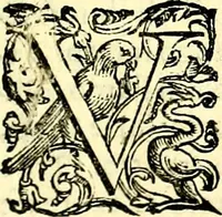 An illustration from Imprese illustri di diuersi, coi discorsi di Camillo Camilli, et con le figure intagliate in rame di Girolamo Porro Padouano .. (1586)