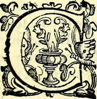 An illustration from Imprese illustri di diuersi, coi discorsi di Camillo Camilli, et con le figure intagliate in rame di Girolamo Porro Padouano .. (1586)