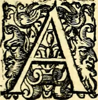 An illustration from Imprese illustri di diuersi, coi discorsi di Camillo Camilli, et con le figure intagliate in rame di Girolamo Porro Padouano .. (1586)