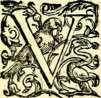 An illustration from Imprese illustri di diuersi, coi discorsi di Camillo Camilli, et con le figure intagliate in rame di Girolamo Porro Padouano .. (1586)