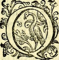 An illustration from Imprese illustri di diuersi, coi discorsi di Camillo Camilli, et con le figure intagliate in rame di Girolamo Porro Padouano .. (1586)