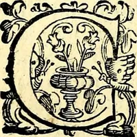 An illustration from Imprese illustri di diuersi, coi discorsi di Camillo Camilli, et con le figure intagliate in rame di Girolamo Porro Padouano .. (1586)