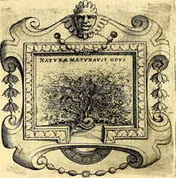 An illustration from Imprese illustri di diuersi, coi discorsi di Camillo Camilli, et con le figure intagliate in rame di Girolamo Porro Padouano .. (1586)