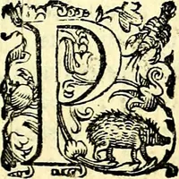 An illustration from Imprese illustri di diuersi, coi discorsi di Camillo Camilli, et con le figure intagliate in rame di Girolamo Porro Padouano .. (1586)