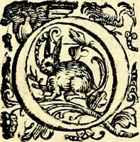 An illustration from Imprese illustri di diuersi, coi discorsi di Camillo Camilli, et con le figure intagliate in rame di Girolamo Porro Padouano .. (1586)