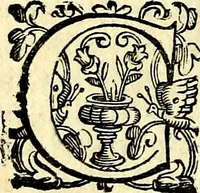 An illustration from Imprese illustri di diuersi, coi discorsi di Camillo Camilli, et con le figure intagliate in rame di Girolamo Porro Padouano .. (1586)