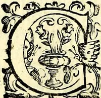 An illustration from Imprese illustri di diuersi, coi discorsi di Camillo Camilli, et con le figure intagliate in rame di Girolamo Porro Padouano .. (1586)