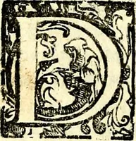 An illustration from Imprese illustri di diuersi, coi discorsi di Camillo Camilli, et con le figure intagliate in rame di Girolamo Porro Padouano .. (1586)