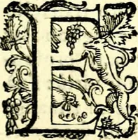 An illustration from Imprese illustri di diuersi, coi discorsi di Camillo Camilli, et con le figure intagliate in rame di Girolamo Porro Padouano .. (1586)