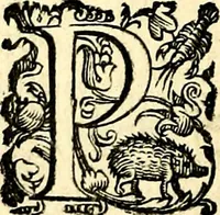 An illustration from Imprese illustri di diuersi, coi discorsi di Camillo Camilli, et con le figure intagliate in rame di Girolamo Porro Padouano .. (1586)