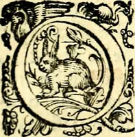 An illustration from Imprese illustri di diuersi, coi discorsi di Camillo Camilli, et con le figure intagliate in rame di Girolamo Porro Padouano .. (1586)