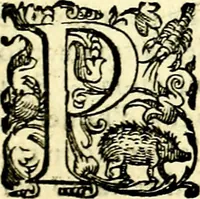 Picture 132 of 230 from Imprese illustri di diuersi, coi discorsi di Camillo Camilli, et con le figure intagliate in rame di Girolamo Porro Padouano .. (1586), leaf 188