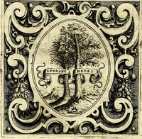 An illustration from Imprese illustri di diuersi, coi discorsi di Camillo Camilli, et con le figure intagliate in rame di Girolamo Porro Padouano .. (1586)
