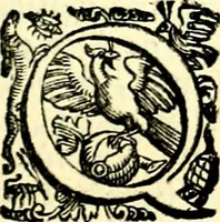 An illustration from Imprese illustri di diuersi, coi discorsi di Camillo Camilli, et con le figure intagliate in rame di Girolamo Porro Padouano .. (1586)