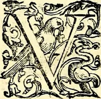 An illustration from Imprese illustri di diuersi, coi discorsi di Camillo Camilli, et con le figure intagliate in rame di Girolamo Porro Padouano .. (1586)