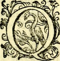 An illustration from Imprese illustri di diuersi, coi discorsi di Camillo Camilli, et con le figure intagliate in rame di Girolamo Porro Padouano .. (1586)