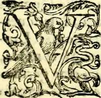 An illustration from Imprese illustri di diuersi, coi discorsi di Camillo Camilli, et con le figure intagliate in rame di Girolamo Porro Padouano .. (1586)