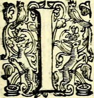 An illustration from Imprese illustri di diuersi, coi discorsi di Camillo Camilli, et con le figure intagliate in rame di Girolamo Porro Padouano .. (1586)