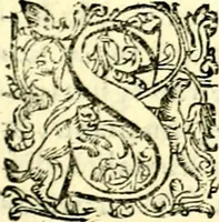 Picture 210 of 230 from Imprese illustri di diuersi, coi discorsi di Camillo Camilli, et con le figure intagliate in rame di Girolamo Porro Padouano .. (1586), leaf 310