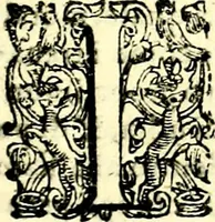 An illustration from Imprese illustri di diuersi, coi discorsi di Camillo Camilli, et con le figure intagliate in rame di Girolamo Porro Padouano .. (1586)