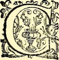 An illustration from Imprese illustri di diuersi, coi discorsi di Camillo Camilli, et con le figure intagliate in rame di Girolamo Porro Padouano .. (1586)