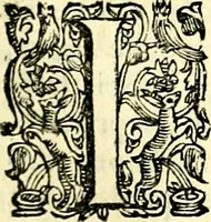 An illustration from Imprese illustri di diuersi, coi discorsi di Camillo Camilli, et con le figure intagliate in rame di Girolamo Porro Padouano .. (1586)