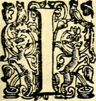 An illustration from Imprese illustri di diuersi, coi discorsi di Camillo Camilli, et con le figure intagliate in rame di Girolamo Porro Padouano .. (1586)