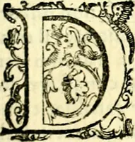 An illustration from Imprese illustri di diuersi, coi discorsi di Camillo Camilli, et con le figure intagliate in rame di Girolamo Porro Padouano .. (1586)